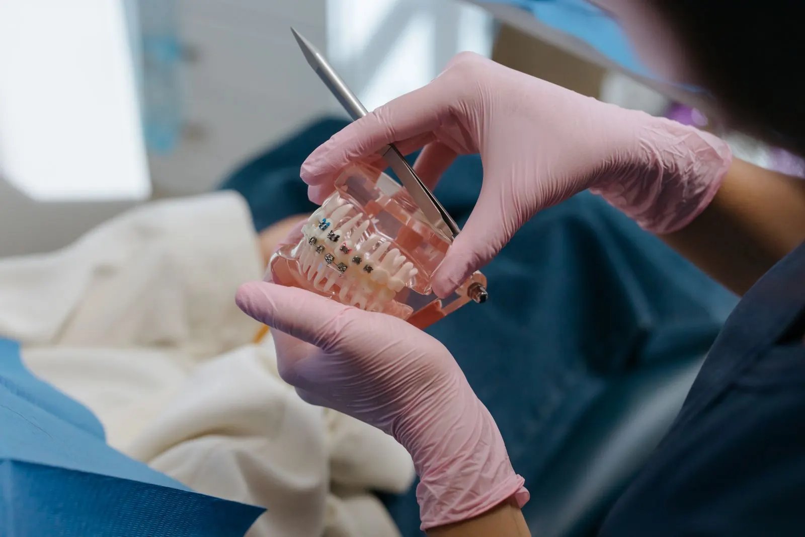 A dentist holding a dental model fitted with braces
